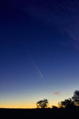 Canvas Print - comet c2023a3 tsuchinshan atlas with milky way stars photographed from northern hemisphere in octobe