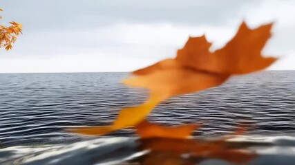 Wall Mural - vibrant orange autumn leaves gently falling near coastal waters, creating serene landscape with clou