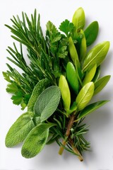 Poster - Fresh Herbs Bouquet on White Background, Showcasing Natural Wellness and Culinary Creativity for Recipe Inspiration and Healthy Lifestyle Concepts : Generative AI