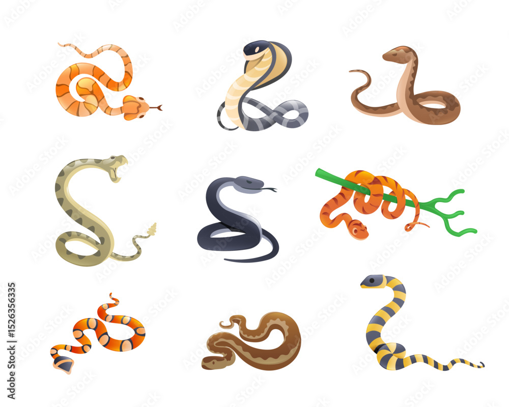 Venomous snakes set. Indian cobra, black mamba, copperhead, Viper, milk ...