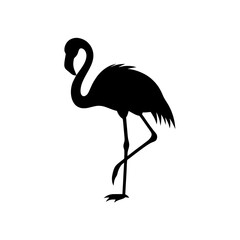 Fototapete - Silhouette of a flamingo standing on one leg against white background on white background , no background