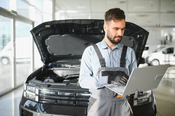 Aufkleber - Automotive mechanic running diagnostics software on computer. Mechanic doing vehicle diagnostic test in auto service garage