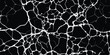 © Jodi - a black and white background with cracks or abstract spider web line texture