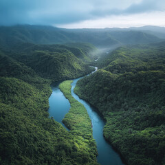 Aufkleber - Lush rainforest, winding river, green hills, misty landscape, tropical forest, serene nature, peaceful