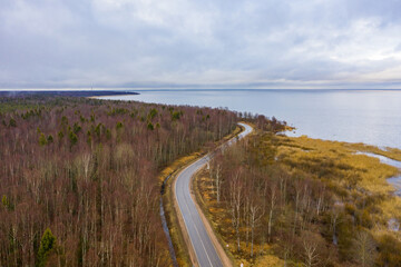 curving road along a forest and lake shore under cloudy sky in autumn, aerial view of natural landsc
