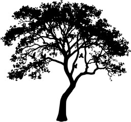 silhouette of a lush tree with birds in flight