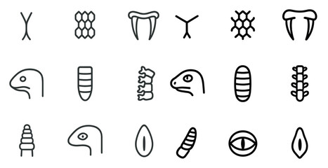 Poster - Abstract animal symbol patterns for design and branding projects