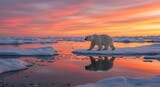 A majestic polar bear traversing the arctic expanse under a vibrant sunset sky. 