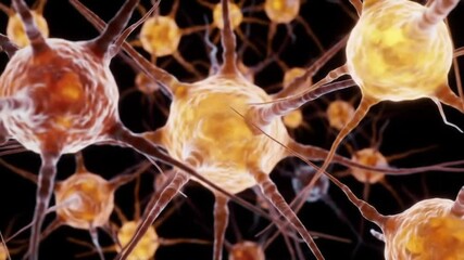 Poster - Close Up Neurons With Orange and Red Hues Displaying Intricate Neural Networks on Black Background For Medical Research