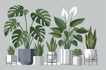 Collection of Various Potted Houseplants in a Row Including Monstera Peace Lily Snake Plant and Succulent on a Neutral Background Vector Illustration