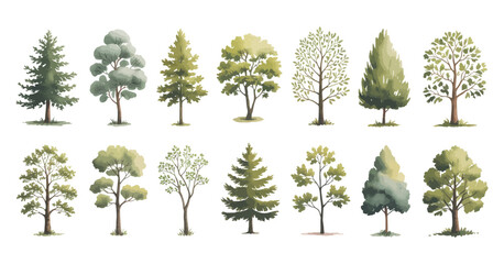 Poster - Collection of Watercolor Tree Illustrations on White Background Featuring Various Deciduous and Evergreen Tree Types Perfect for Nature and Landscape Designs