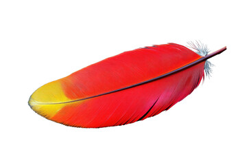 Poster - A vibrant red and yellow bird feather, isolated on a transparent background, showcasing intricate detail and texture. background removed