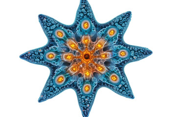 Poster - Intricate, symmetrical, star-shaped microorganism with vibrant blue and orange hues. background removed
