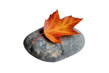 Poster - A vibrant orange maple leaf rests gently atop a smooth, gray stone, evoking autumn serenity. background removed