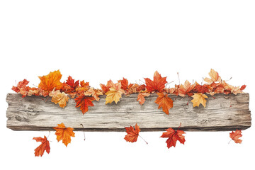 Poster - Autumn leaves adorn a rustic wooden plank, creating a seasonal border. background removed