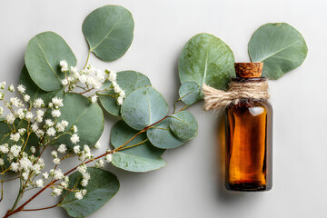 Poster - Minimalist floral composition. Eucalyptus on white background. Aroma therapy. Copy space.