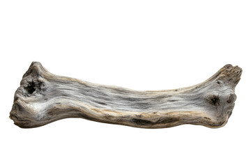 Poster - A weathered, gray driftwood piece, isolated on a transparent background. background removed