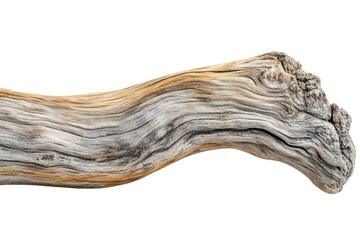 Poster - A weathered, curved piece of driftwood with intricate grain patterns, isolated on a transparent background. background removed