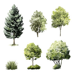 Wall Mural - watercolor trees and shrub side view set. garden and environmental design collection. isolated vecto