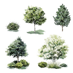 Wall Mural - trees and bushes watercolor side view illustration set. landscape architecture and green space desig