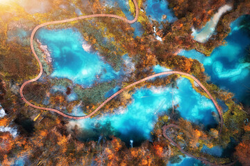 Wall Mural - aerial view of blue lakes in red autumn forest at sunrise. morning in plitvice lakes park, croatia. 