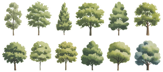 Poster - Collection of Various Tree Illustrations with Green Foliage Isolated on White Background Perfect for Landscape Design Architectural Renderings and Nature Themed Projects
