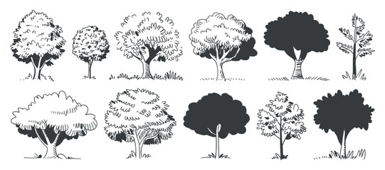 Poster - Hand Drawn Tree Vector Set with Different Styles Forest Illustration Nature Elements Isolated on White Background Black and White Minimalist Design