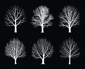 Poster - Set of Six White Bare Trees Silhouettes on Black Background Minimalist Vector Illustration Winter Season Nature Graphic Design Element Isolated Simple Clean