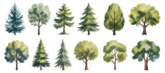 Poster - Watercolor Tree Collection Diverse Forest Elements for Creative Design and Illustration Projects Featuring Deciduous and Evergreen Varieties in a Variety of Shapes and