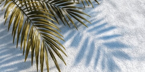 Leinwandbilder - Palm Fronds Casting Shadows on White Textured Wall, Evoking Tropical Relaxation and Summer Vacation Vibes for Travel Advertising : Generative AI