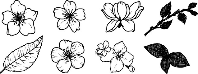 Poster - Quirky sketches of cherry blossom and leaves for creative design projects