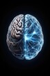 © Dipsky - A captivating visualization unfolds the human brain showcasing one side with detailed anatomy and the other illuminating neural connections and electric activity suggesting intelligence.