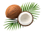 Whole and halved coconut with palm leaf isolated on transparent background