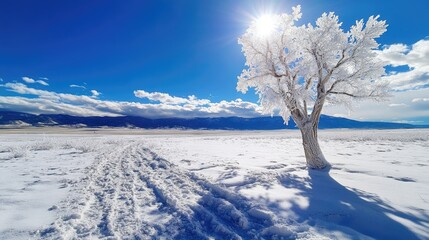 Poster - Icy branches of a lone tree sparkling on snowy terrain, under vast winter sky