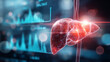 © Di - Illustrated Human Liver with Dynamic Data Visualizations Symbolizing Holistic Wellness Connection Between Physical Health and Mental Sharpness, Infographic Showcasing Health Metrics, Digital Analysis