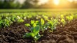 © wpw - smart soil sensors detecting nutrient levels, guiding fertilizer application with pinpoint accuracy, helping farmers reduce waste and costs.