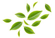 © Matteo - Isolated Fresh Green Tea Leaves Arrangement