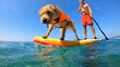 © wkproduction - A man and his furry companion, a dog wearing an orange life jacket, paddleboard together on a serene, clear blue ocean. The shot is a close-up, highlighting their joyful bond and active lifestyle.