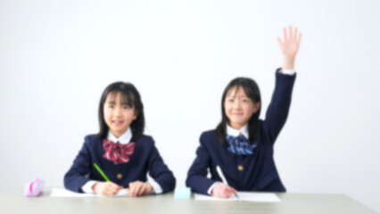 Aufkleber - 教室で授業を受ける女子小学生のグループ　イメージ映像向けぼかし画像
