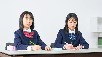 Aufkleber - 授業を受ける女子小学生のグループ