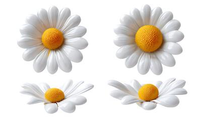 Poster - set of white daisies with yellow centers isolated on transparent background