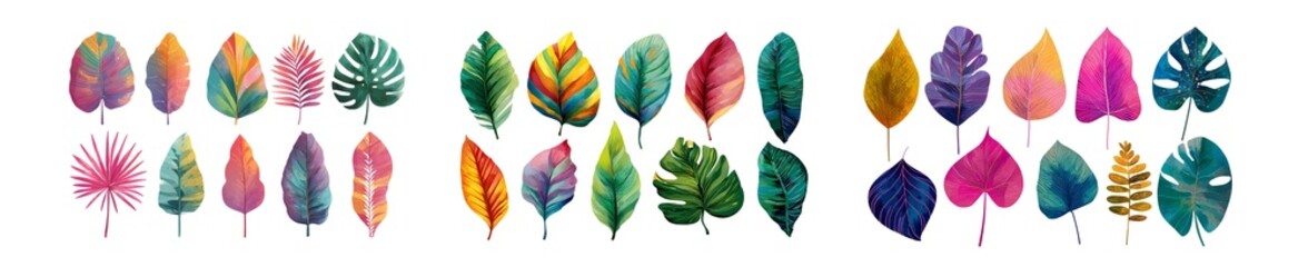 Fototapete - set of Vibrant collection of colorful tropical leaves. isolated on transparent background