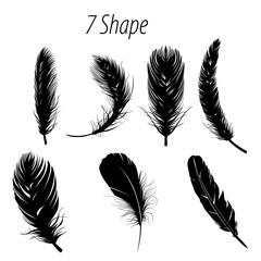 Poster - seven black feathers with detailed barbs and shafts arranged on a white background in various shapes
