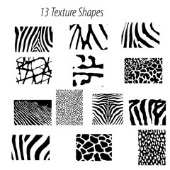 Poster - A collection of thirteen black and white animal print textures including zebra leopard and giraffe patterns