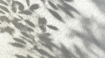 Poster - Shadow patterns of leaves cast on a textured white wall, creating an abstract natural design with soft light and contrast.