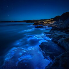 Poster - Enchanting night beach scene with the waves glistening under the moonlight and starry sky above