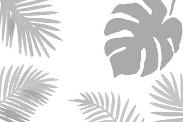 Poster - Tropical leaves pattern vector art, palm leaves and monstera leaf isolated on a white background