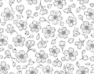 Sakura blossom pattern. Cherry flower seamless vector background. Floral japanese or chinese black line art. Spring vintage tree branch.elegant, graphic, japan, japanese, ornament, outline, print.