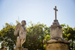 © Ciana - Statue of an angel before a cross in prayer. Blue sky and lush greenery surround it. São João Batista Cemetery, Rio de Janeiro, Brazil.