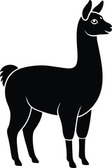 Poster - Llama silhouette isolated on transparent background